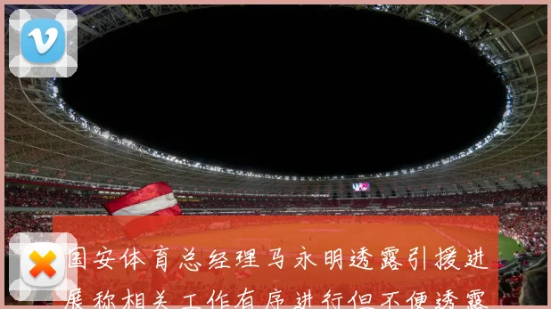 国安体育总经理马永明透露引援进展称相关工作有序进行但不便透露名字